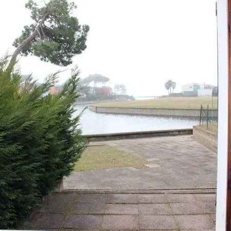 App 1541 *